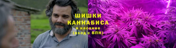 дмт Богородицк