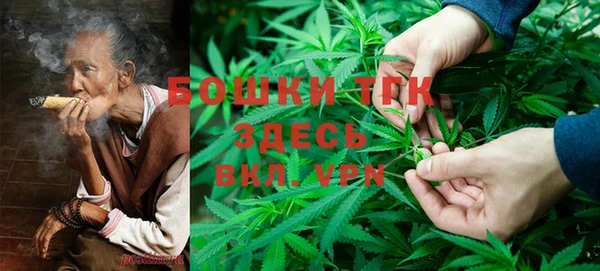 прущий лед Богданович