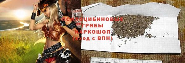 ECSTASY Богородск