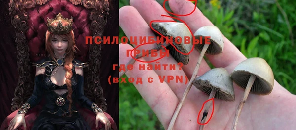 дмт Богородицк