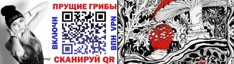 Псилоцибиновые грибы мицелий  Вельск 